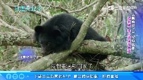 A造謠草埔關0900