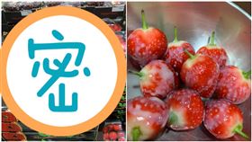 好市多掀起草莓風潮，民眾紛紛搶購。（圖／翻數自Costco好市多商品經驗老實說）
