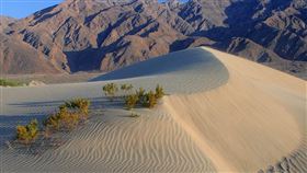 美國,沙漠,加州,死亡之谷（圖／翻攝維基百科）
