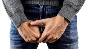 男性下體示意圖