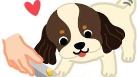 名家專用／毛起來MAOUP（勿用）