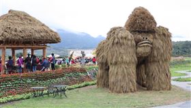 花蓮富里稻草藝術節　銀背猩猩成焦點花蓮富里鄉農會將收割後的稻草再利用，並舉辦稻草藝術節，展場中的焦點是一隻銀背猩猩，牠四腳貼地代表地域觀念保護居住環境。中央社記者李先鳳攝　108年12月29日