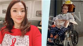  陶晶瑩、袁惟仁