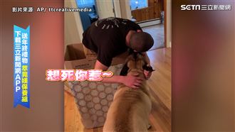 主人藏在禮物盒裡　驚喜現身嚇傻牠