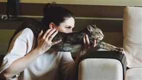 媽扛「貓牌機關槍」。（圖／翻攝自ig用戶「＠kingsofmeow」）