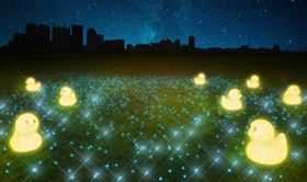 圖片來源：新北市政府