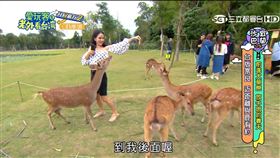 （圖／愛玩客）