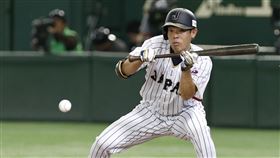  ▲秋山翔吾加盟紅人隊。（圖／美聯社）