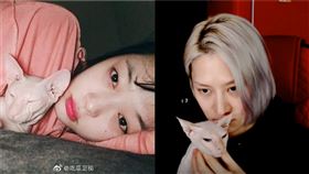 金希澈、雪莉/YouTube、微博