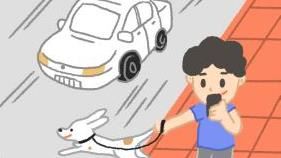帶狗散步還在當低頭族？4件事要意！