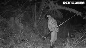 山貓森林,獵人,打獵,石虎