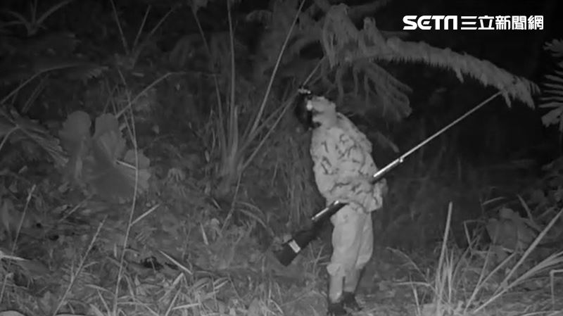 苗栗石虎保育地　驚見獵人持長槍闖入
