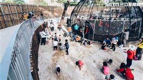 新竹動物園（新竹市政府提供）