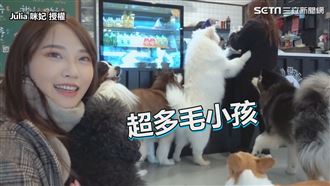 韓國療癒寵物咖啡廳　毛小孩熱情飛撲