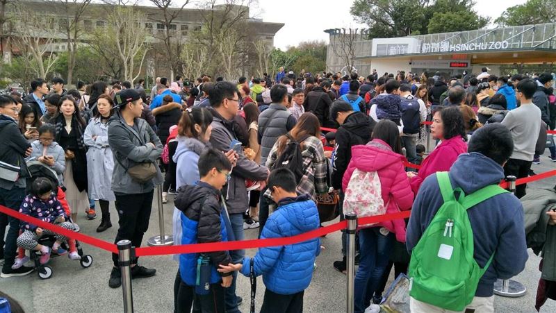 元旦新竹動物園擠爆！入園得排2小時