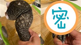 鱷魚,食材,哥吉拉,膠質,辦桌　圖／翻攝爆廢公社二館