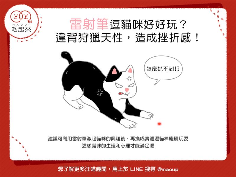 雷射筆逗貓咪好好玩？　違背狩獵天性