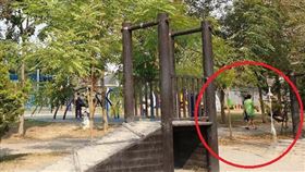 南投,草屯,兒童樂園,繩索,元旦