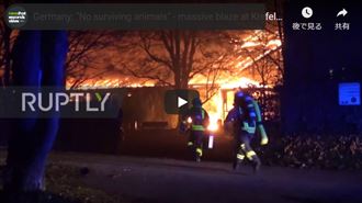 悲！德國動物園大火　數十隻動物喪命