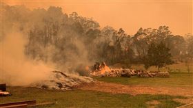在毀滅性野火肆虐澳洲各地的情況下，新南威爾斯省摩哥動物園處在野火第一線，飼養人員仍成功保護200隻動物全數未受傷害。（圖取自twitter.com/mogowildlife）