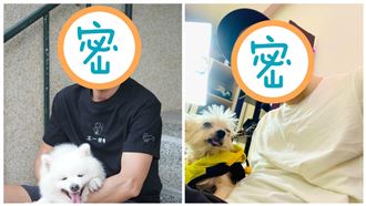 啥頻道適合老人？網推3網紅：不無聊