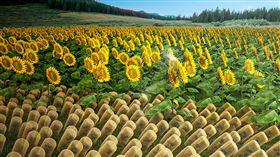 名家專用／草根影響力新視野（勿用）