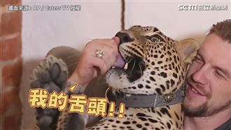 超ㄋㄞ人花豹　飼養員奴才帶回家伺候