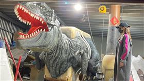 謝金燕與恐龍（翻攝自臉書）