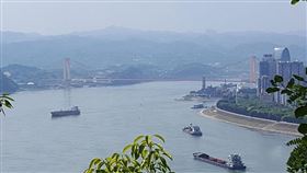 長江,魚,生物,漁民,禁漁,中國,大陸,資源,生態,保育,,影響,水產,市場,淡水 圖／翻攝自維基百科