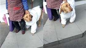 阿嬤怕狗狗冷。（圖／翻攝自抖音用戶「＠9588620」）