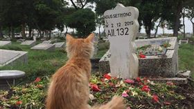 印尼波斯貓藍波墓碑前追念飼主印尼波斯貓藍波在飼主墓碑前追念他。印尼大學生法德希爾說，牠眼神空洞，在墓碑前靜靜坐了好久。（印尼大學生法德希爾提供）中央社記者石秀娟雅加達傳真　109年1月3日