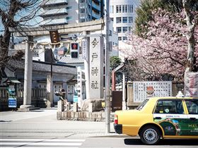 名家／女人瘋（勿用）