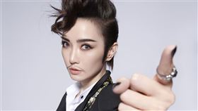 謝金燕,除夕夜,紅白,表演,期待。圖／台視提供