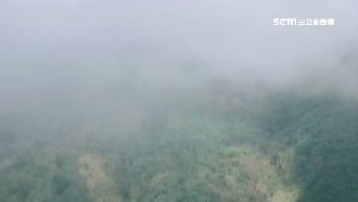 疑雲層太厚釀禍　目擊者曝黑鷹怪行蹤