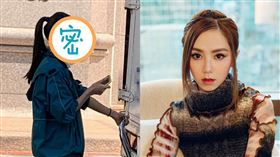 物流,黑貓,鄧紫棋,朝聖(翻攝自爆廢公社、鄧紫棋微博)