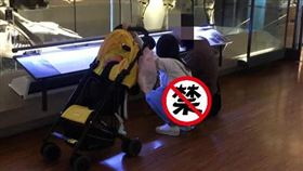 博物館看化石！地方媽媽一蹲下曬「整片肉色」（圖／翻攝自臉書加藤軍路邊隨手拍）