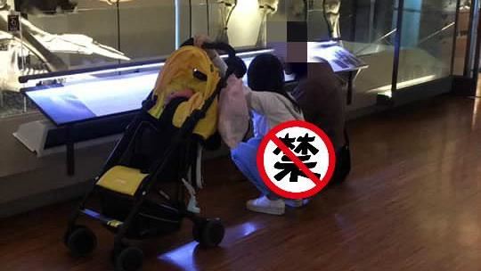 博物館看化石！地方媽媽蹲下全被看光