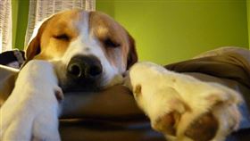 名家專用／毛起來MAOUP（勿用）