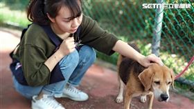 動物之家（新北市政府動物保護防疫處提供）