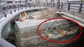 聽過打樁但你一定不知道「打生樁」