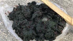 馬祖冬季限定美食菜垢上市馬祖海邊岩盤上生長的「菜垢」為冬季限定美食，受到雨少影響，今年產期順延，直到最近才正式上市，民眾嚐鮮正是時候。（連江縣政府提供）中央社　109年1月4日