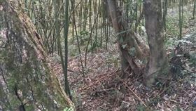 竹林,內湖,三屍命案　翻攝畫面