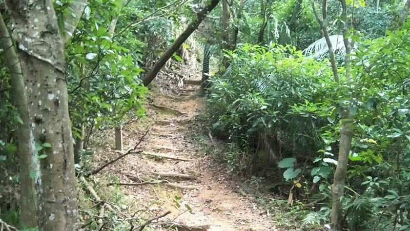 親哥陳屍竹林！男星曾養6口扛千萬債