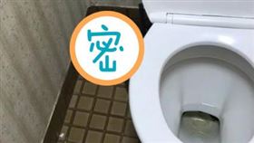 廁所,蟒蛇,角落,打工(翻攝自Dcard)