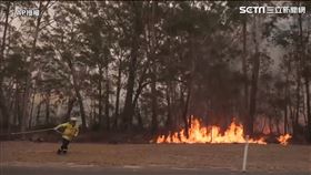 澳洲大火
圖／AP授權