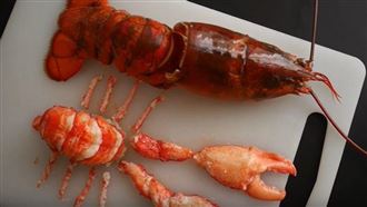 「龍蝦分身術」人妻6招拆解技網全跪