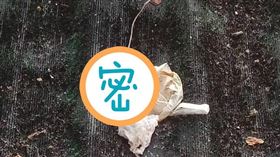 小雨衣,保險套,子孫滿堂,屋頂(翻攝自爆怨公社)