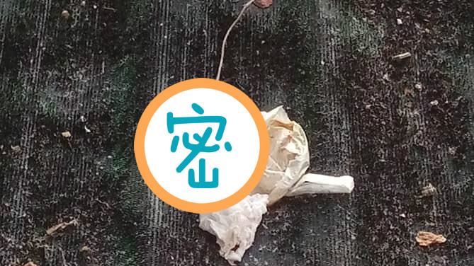 噁！鄰居丟「用過小雨衣」到他家屋頂