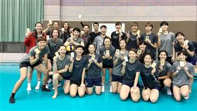 ▲中華男、女排7日起爭奪奧運最後一張門票。（圖／體育署提供）