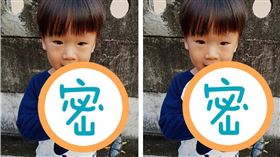 男童猛啃巨型蜈蚣！網嚇傻：百毒不侵